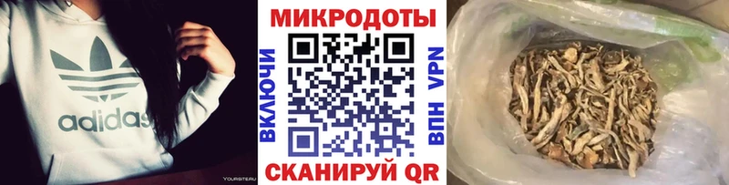 что такое наркотик  Куртамыш  Галлюциногенные грибы GOLDEN TEACHER 